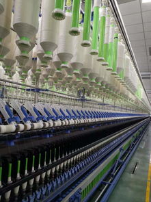 世界最大毛巾厂转身拥抱互联网，为何独选拼多多？